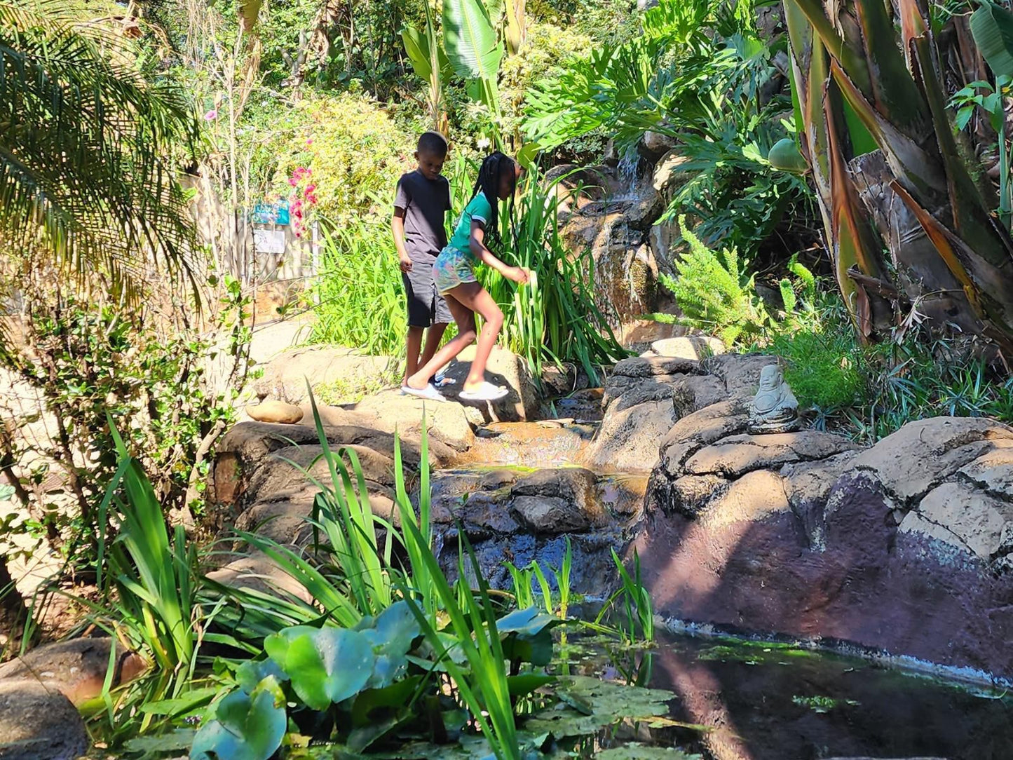 Bali At Scenic Haven Lodge, Palm Tree, Plant, Nature, Wood, Reptile, Animal, Waterfall, Waters, Garden, Person