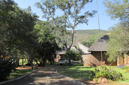 Balla Balla Conservancy Lodge Soutpansberg Limpopo Province South Africa 