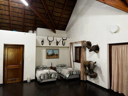 Balla Balla Conservancy Lodge Soutpansberg Limpopo Province South Africa Bedroom