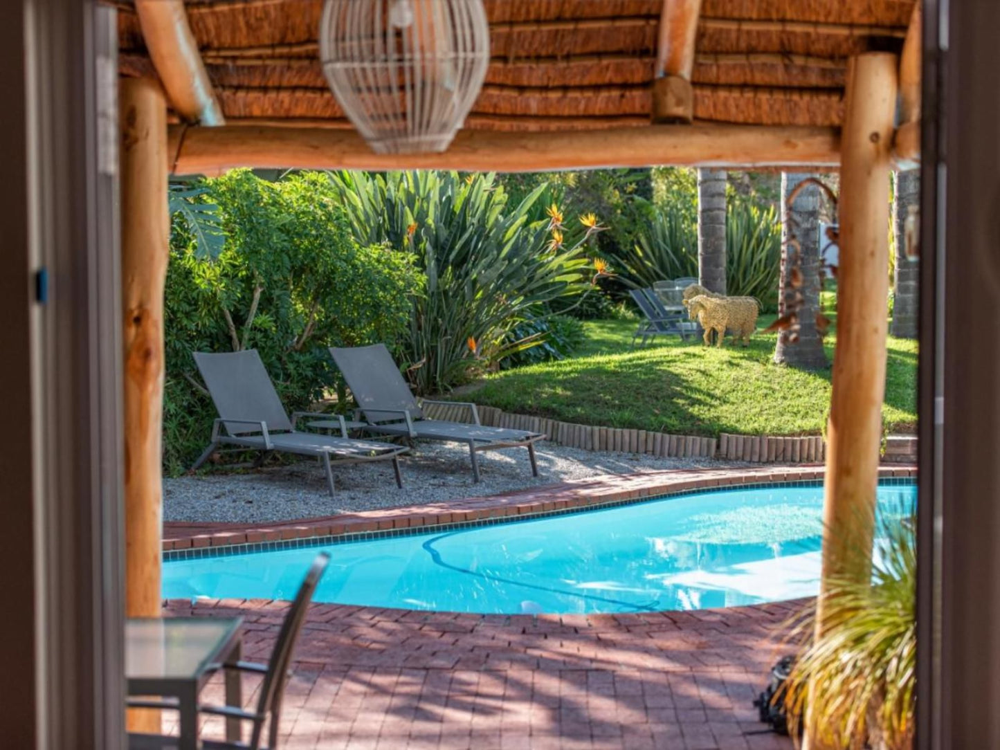 Ballinderry The Robertson Guest House Robertson Western Cape South Africa Palm Tree, Plant, Nature, Wood, Swimming Pool