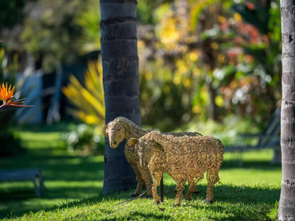 Ballinderry The Robertson Guest House Robertson Western Cape South Africa Animal