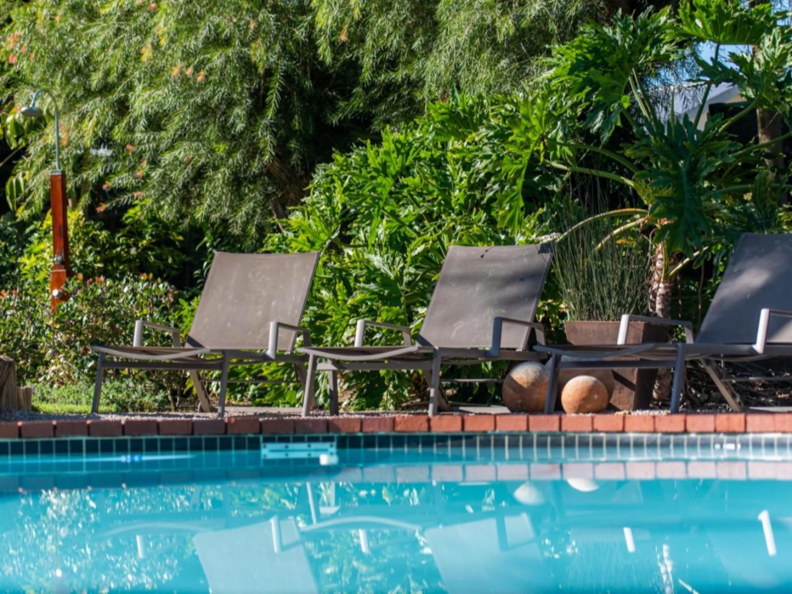 Ballinderry The Robertson Guest House Robertson Western Cape South Africa Complementary Colors, Palm Tree, Plant, Nature, Wood, Garden, Swimming Pool