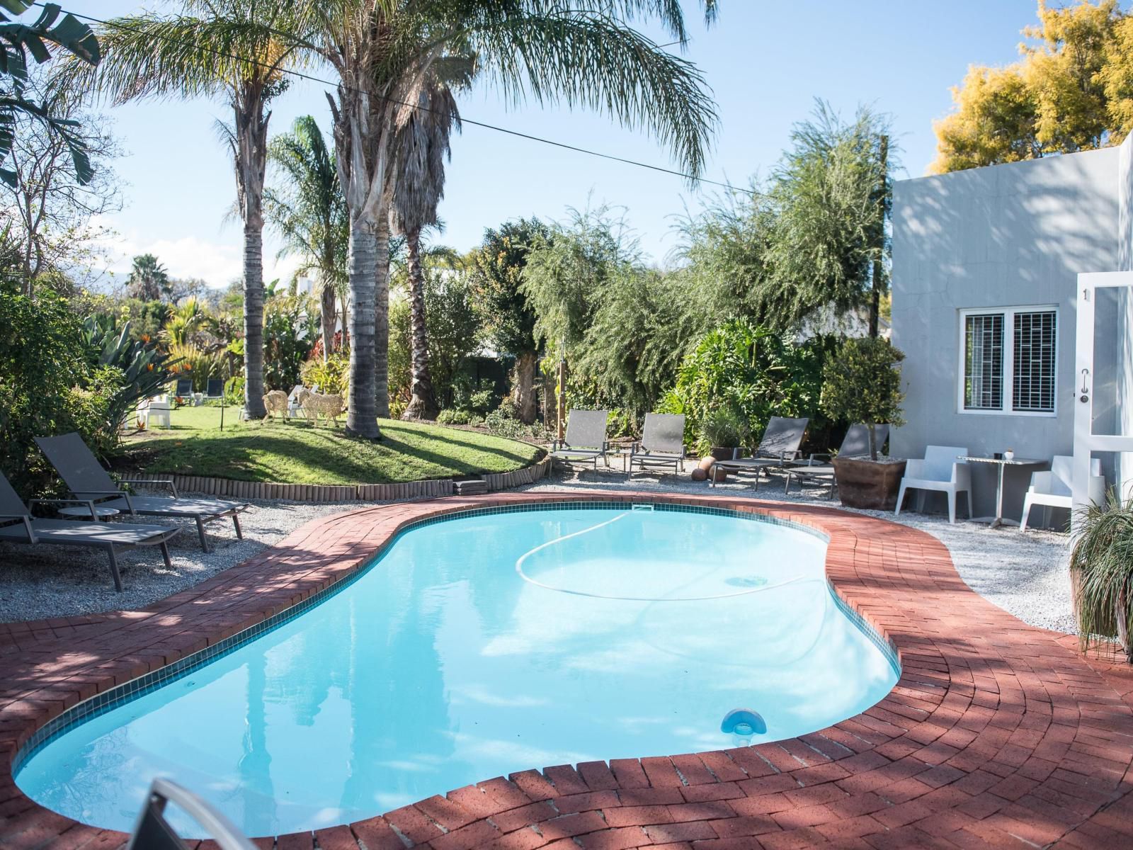 Ballinderry The Robertson Guest House Robertson Western Cape South Africa Palm Tree, Plant, Nature, Wood, Garden, Swimming Pool