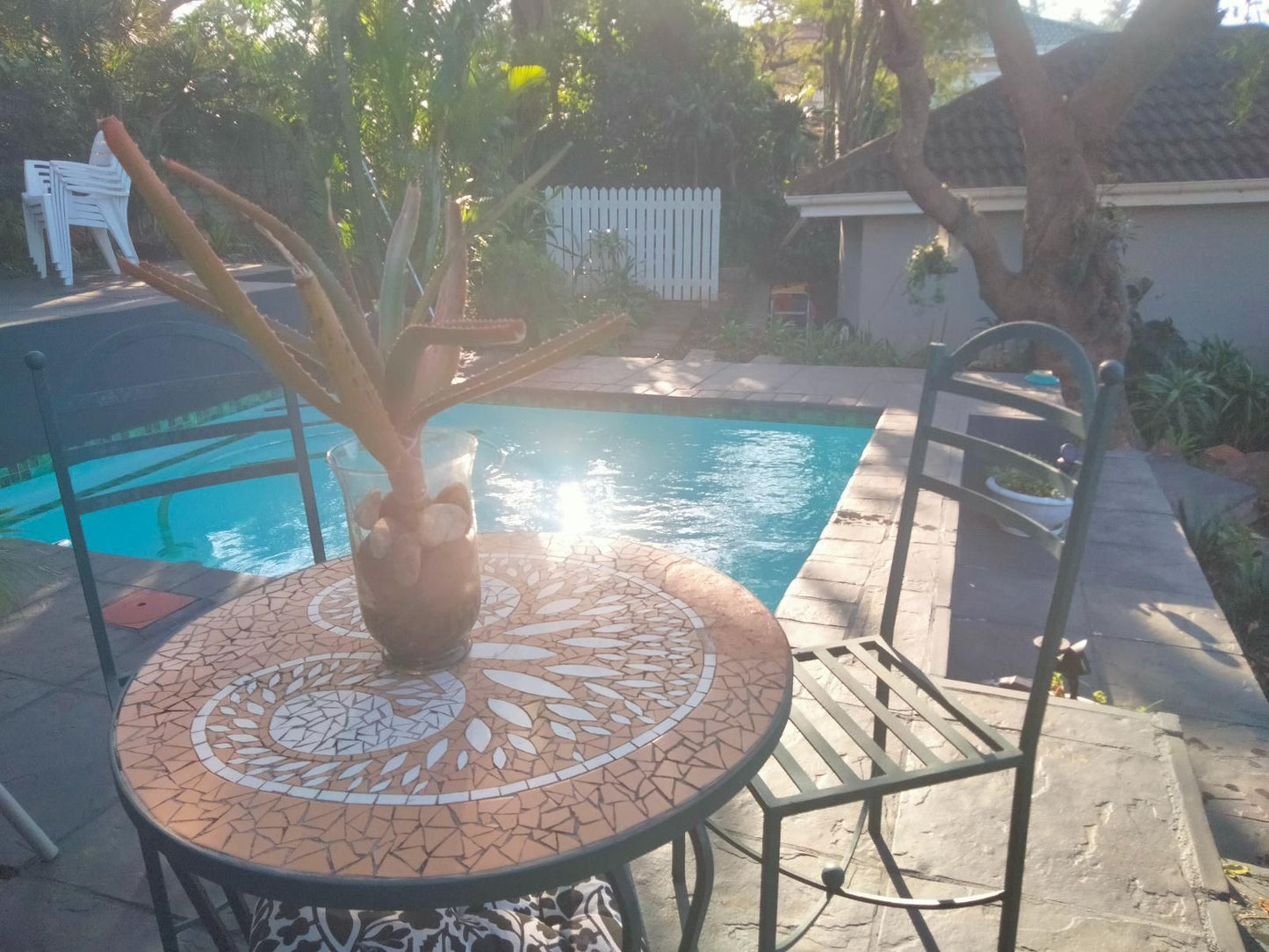 Ballito Central Pet Friendly Home Ballito Kwazulu Natal South Africa Palm Tree, Plant, Nature, Wood, Garden, Swimming Pool
