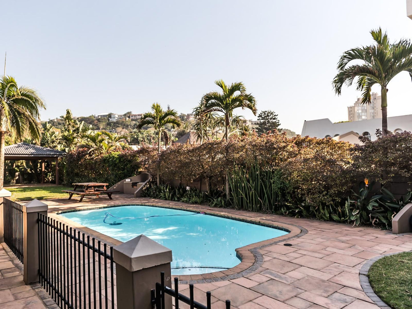 Ballito Sands Penthouse Ballito Kwazulu Natal South Africa Complementary Colors, Palm Tree, Plant, Nature, Wood, Garden, Swimming Pool