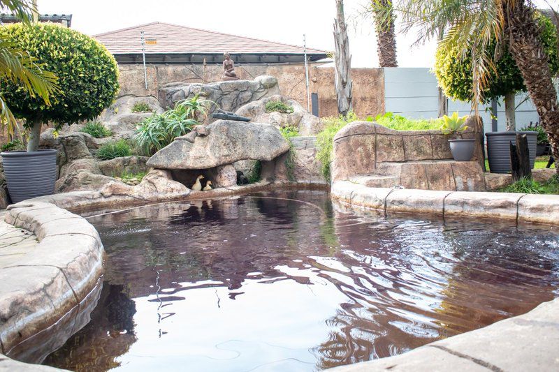 Balmoral Lodge Bellville Cape Town Western Cape South Africa 1 Palm Tree, Plant, Nature, Wood, Reptile, Animal, River, Waters, Garden, Swimming Pool