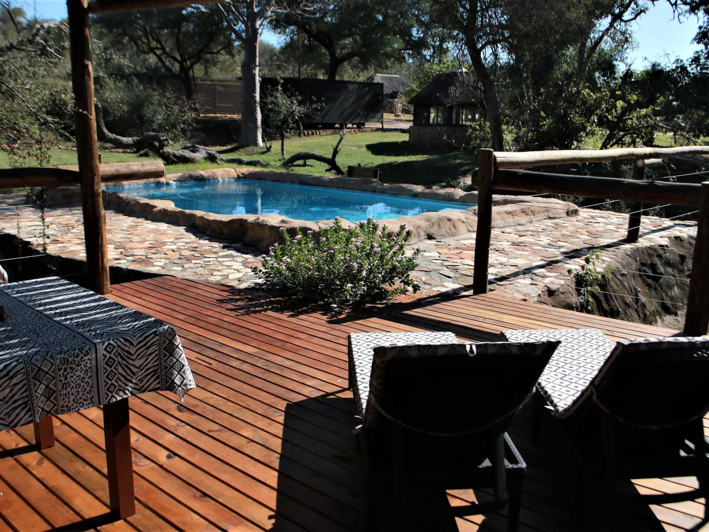 Baluleni Safari Lodge Balule Nature Reserve Mpumalanga South Africa Swimming Pool