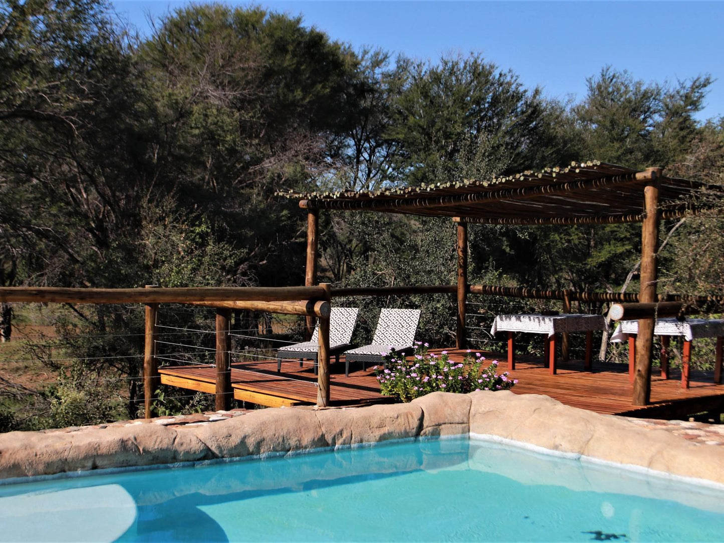 Baluleni Safari Lodge Balule Nature Reserve Mpumalanga South Africa Swimming Pool