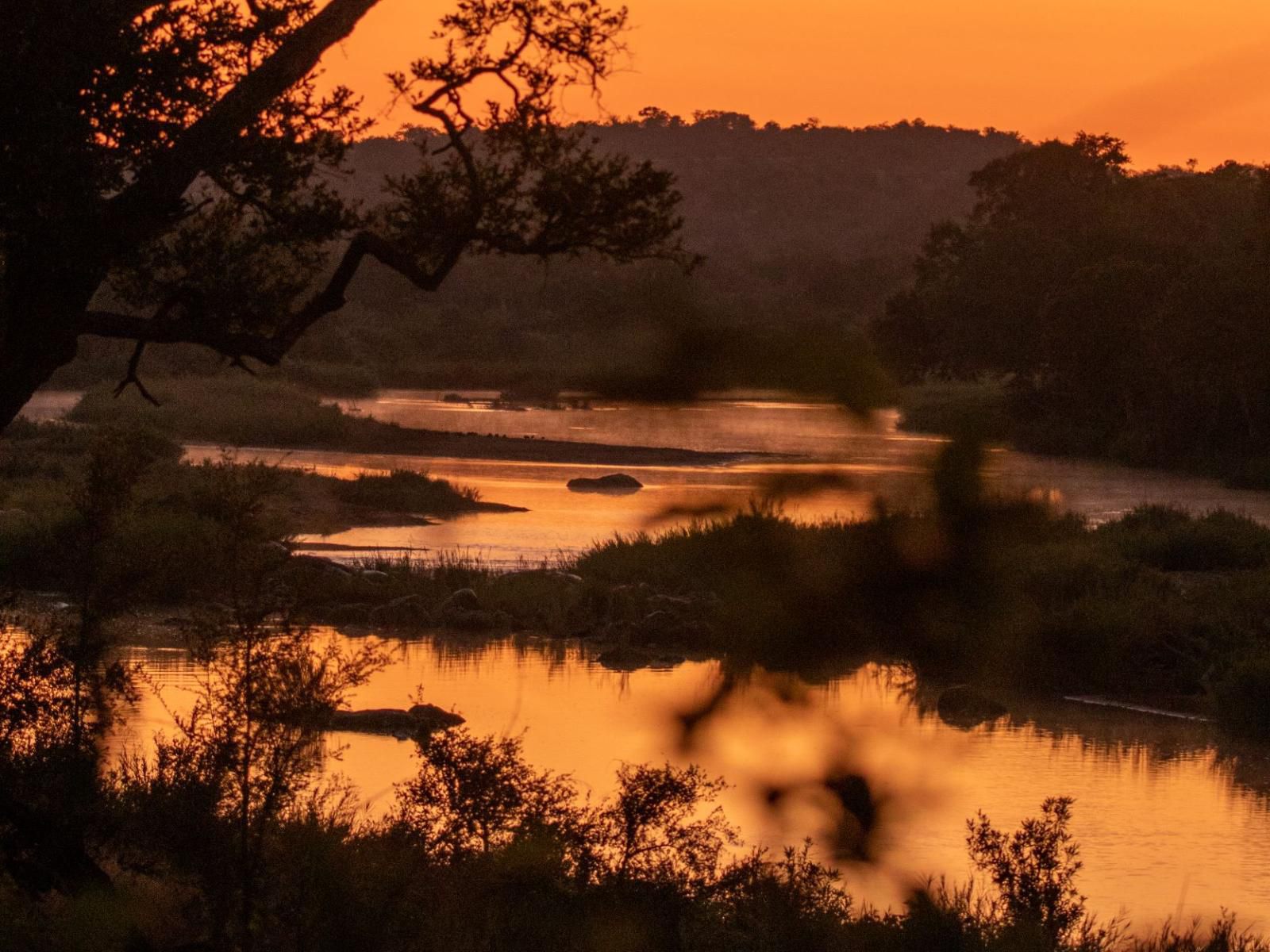 Baluleni Safari Lodge Balule Nature Reserve Mpumalanga South Africa Colorful, River, Nature, Waters, Sky, Sunset