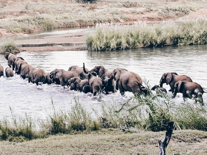 Exclusive Riverside Suite 3 @ Baluleni Safari Lodge