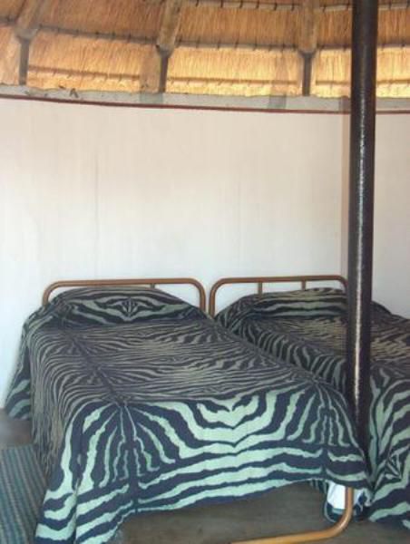 Balule Rest Camp Kruger National Park Sanparks North Kruger Park Mpumalanga South Africa Bedroom