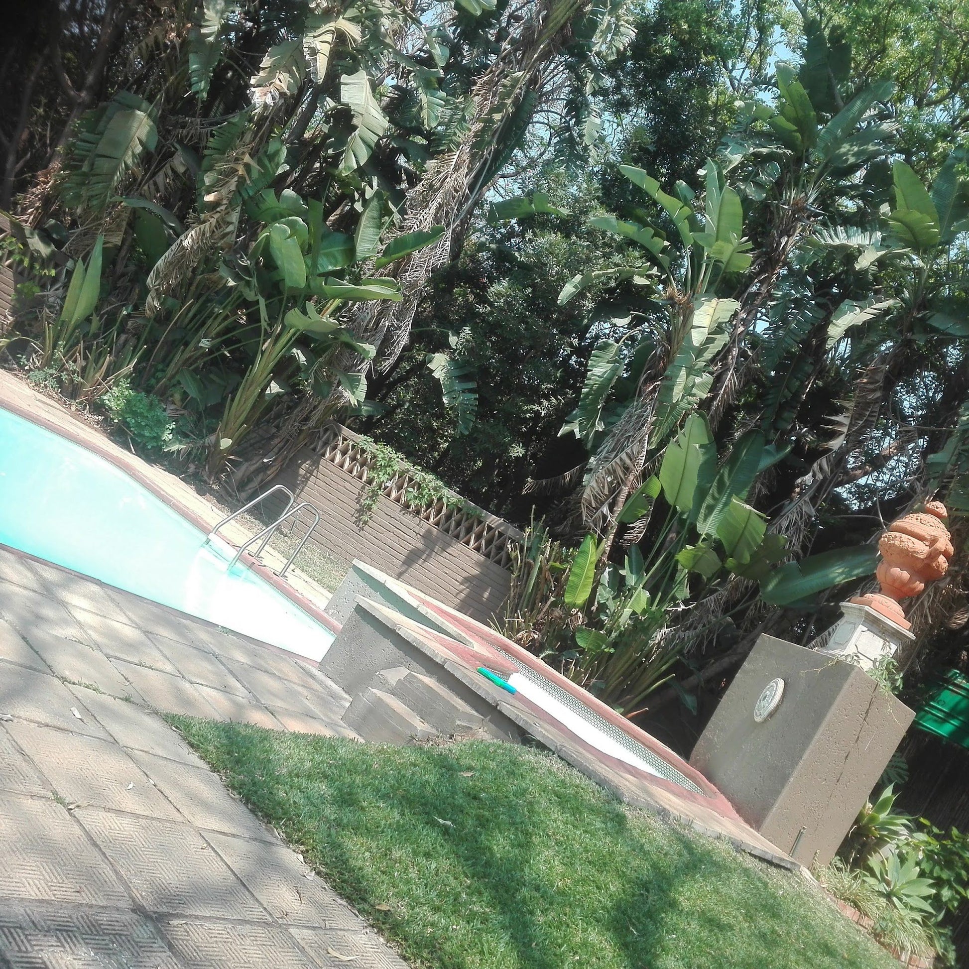 Bambelela Lodge Rustenburg North West Province South Africa Palm Tree, Plant, Nature, Wood, Swimming Pool