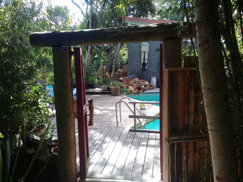 Bamboo Grove Self Catering Hunters Home Knysna Western Cape South Africa Palm Tree, Plant, Nature, Wood, Swimming Pool