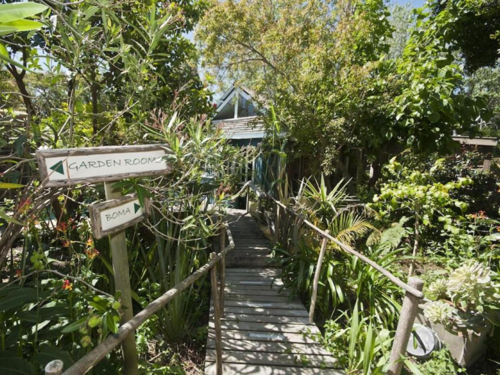 Bamboo The Guesthouse Hunters Home Knysna Western Cape South Africa Palm Tree, Plant, Nature, Wood, Garden