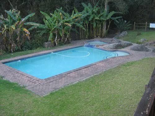 Bananien Lodge Sabie Mpumalanga South Africa Palm Tree, Plant, Nature, Wood, Garden, Swimming Pool