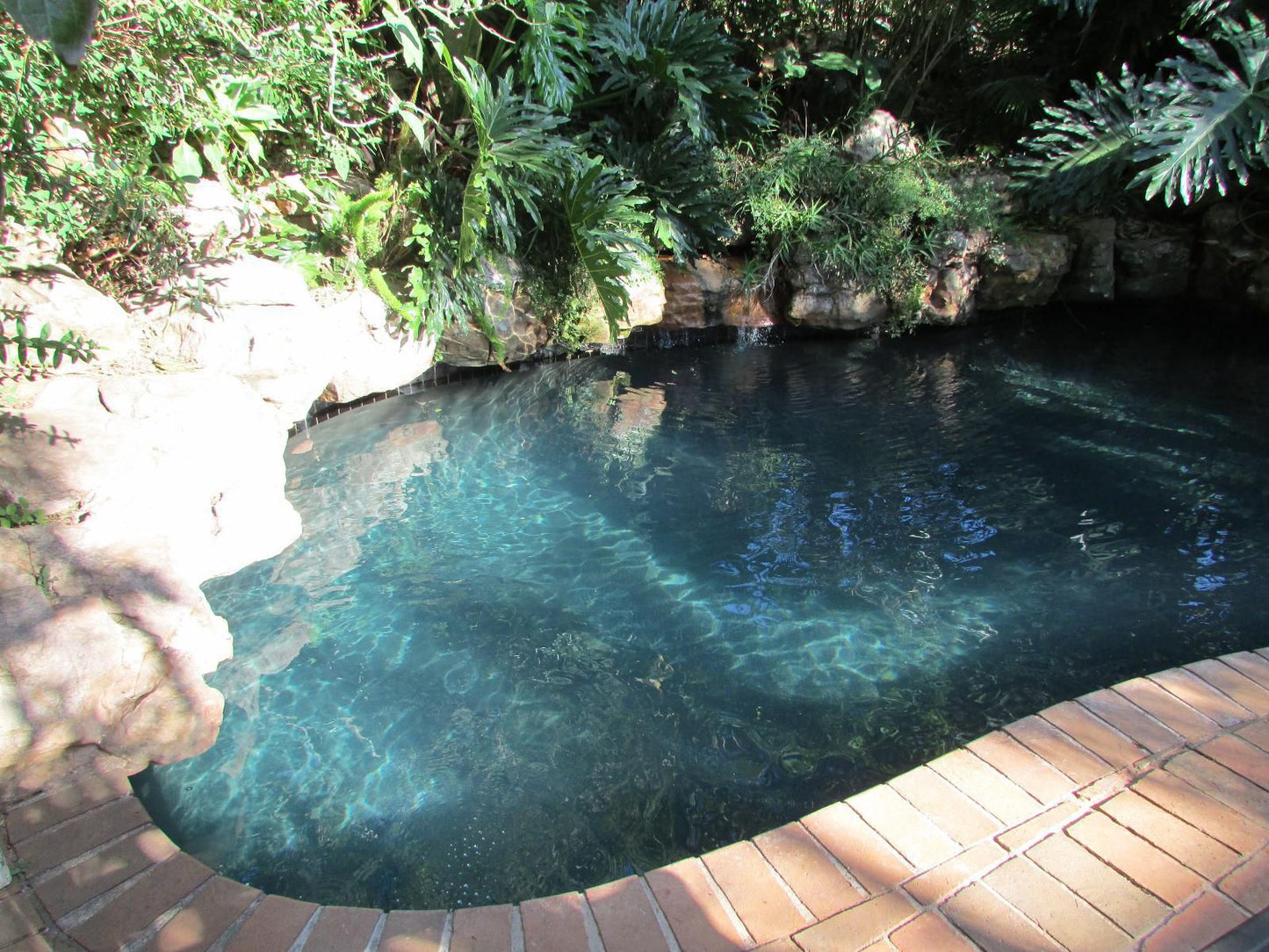 Bancroft Bandb Hilton Pietermaritzburg Kwazulu Natal South Africa Garden, Nature, Plant, Swimming Pool