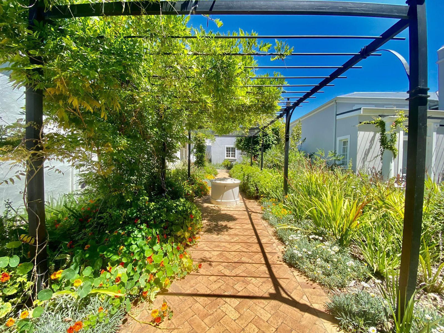 Banhoek Corner Guesthouse, House, Building, Architecture, Plant, Nature, Garden