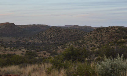 Bankfontein Philippolis Free State South Africa Cactus, Plant, Nature, Text, Desert, Sand