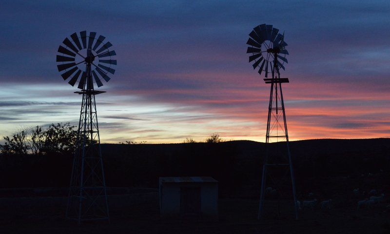 Bankfontein Philippolis Free State South Africa 