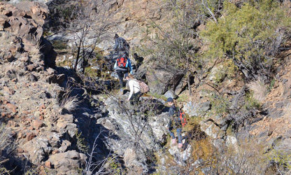 Bankfontein Philippolis Free State South Africa Cactus, Plant, Nature, Canyon, Climbing, Funsport, Sport