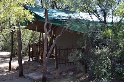 Bankfontein Philippolis Free State South Africa Cabin, Building, Architecture