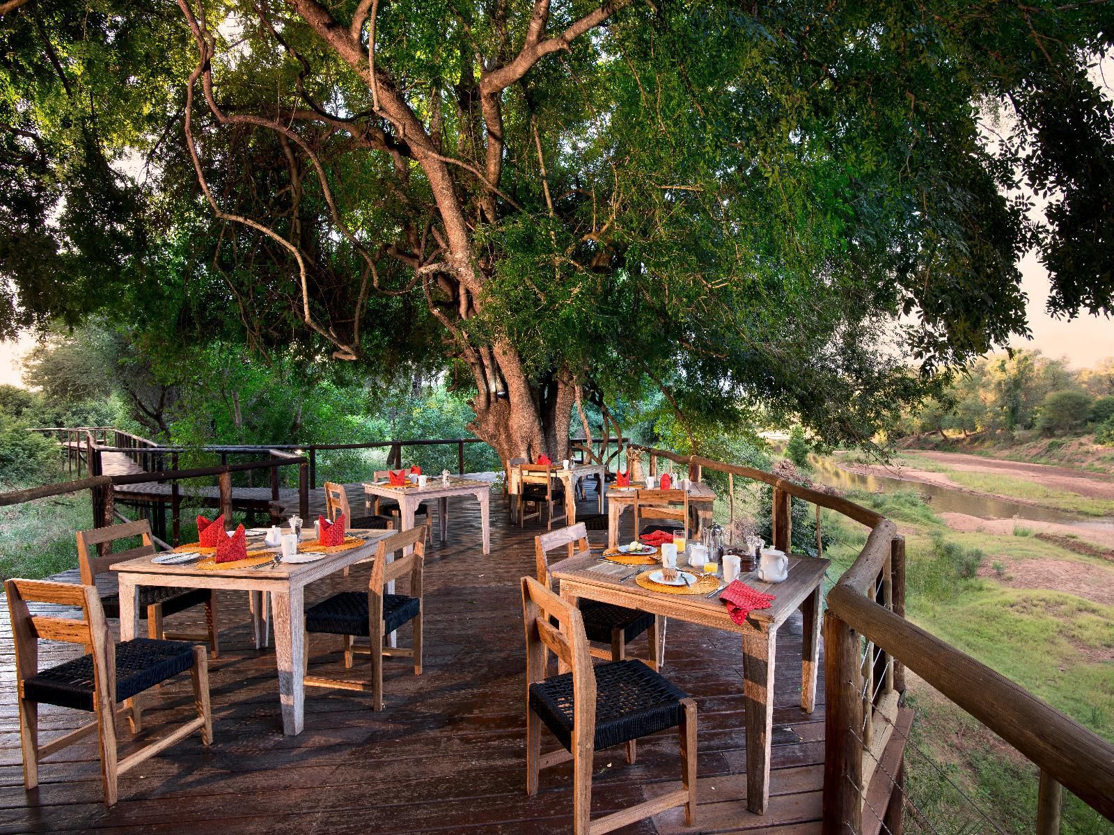 Baobab Hill Bush House North Kruger Park Mpumalanga South Africa Restaurant, Bar