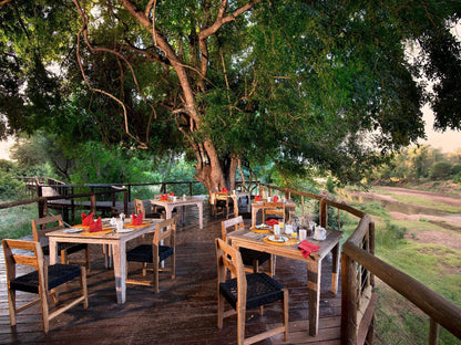 Baobab Hill Bush House North Kruger Park Mpumalanga South Africa Restaurant, Bar