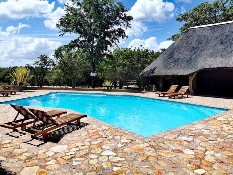Baobab Lodge Alldays Limpopo Province South Africa Complementary Colors, Swimming Pool