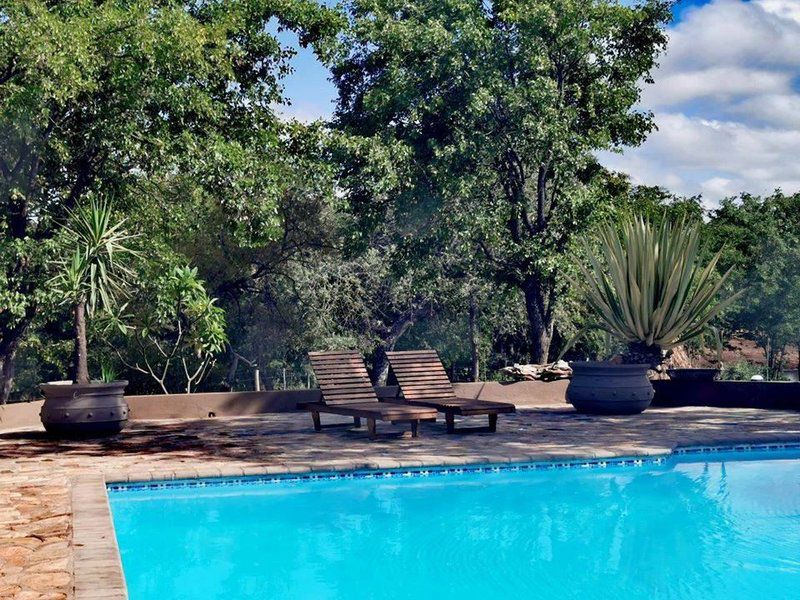 Baobab Lodge Alldays Limpopo Province South Africa Garden, Nature, Plant, Swimming Pool