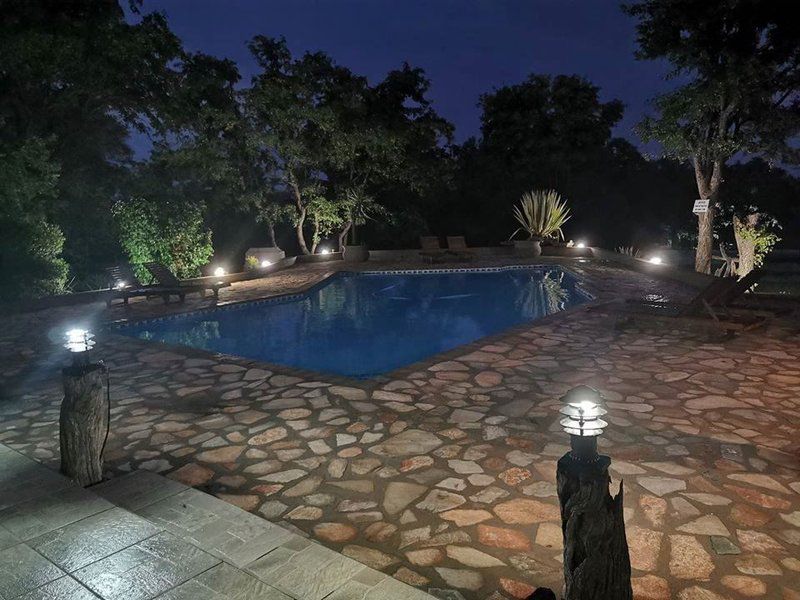 Baobab Lodge Alldays Limpopo Province South Africa Garden, Nature, Plant, Swimming Pool