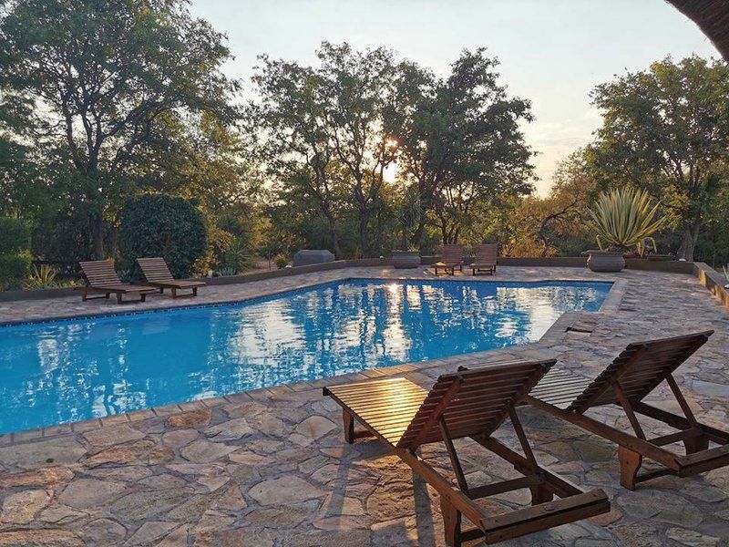 Baobab Lodge Alldays Limpopo Province South Africa Garden, Nature, Plant, Swimming Pool