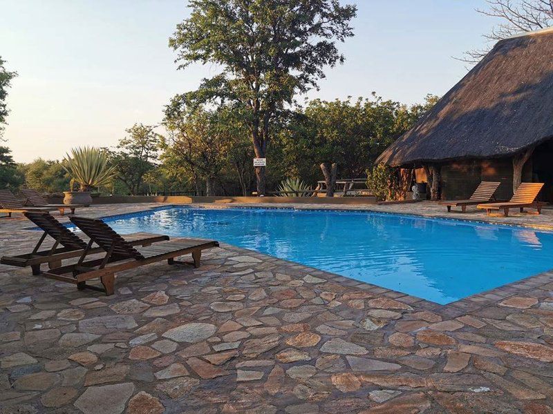 Baobab Lodge Alldays Limpopo Province South Africa Swimming Pool