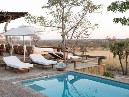 Baobab Ridge Greater Kruger Timbavati Reserve Mpumalanga South Africa Swimming Pool