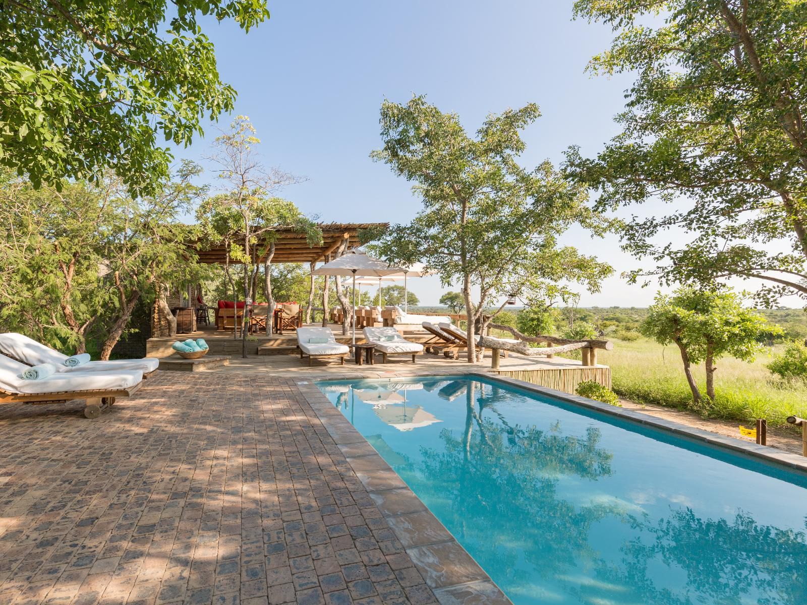 Baobab Ridge Greater Kruger Timbavati Reserve Mpumalanga South Africa Complementary Colors, Swimming Pool