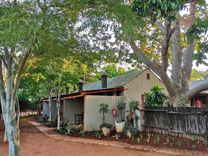 Baobab S Bushveld Rest Marnitz Limpopo Province South Africa House, Building, Architecture, Palm Tree, Plant, Nature, Wood