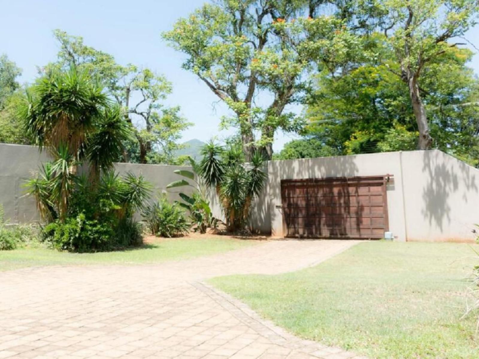 Barberton Bnb Guesthouse, Palm Tree, Plant, Nature, Wood, Garden