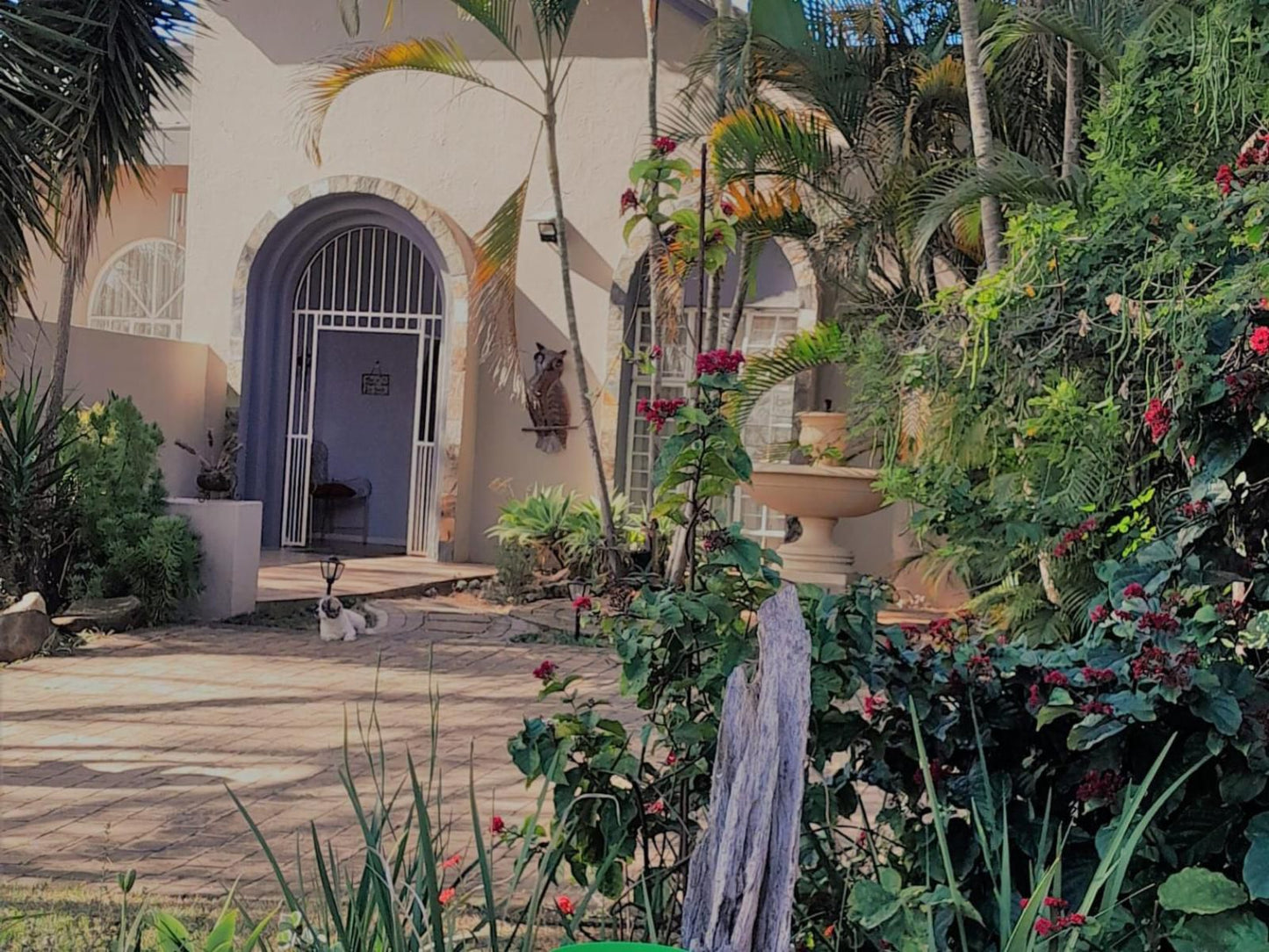 Barberton Bnb Guesthouse, House, Building, Architecture, Palm Tree, Plant, Nature, Wood, Garden