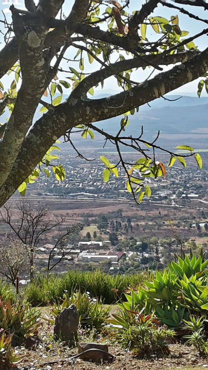 Barberton Mountain Lodge Barberton Mpumalanga South Africa Aerial Photography, Nature