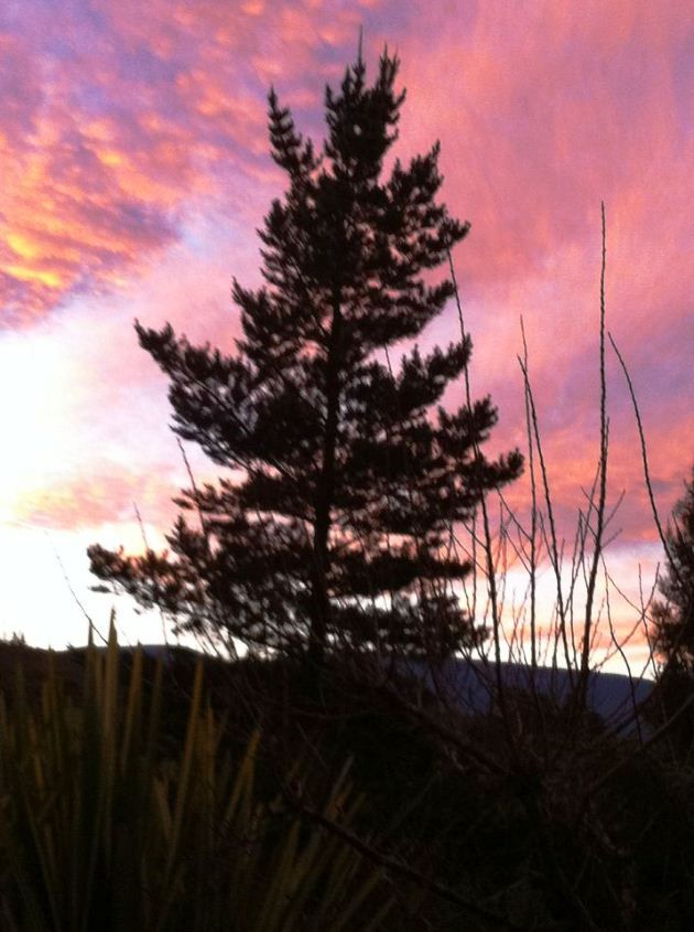 Bare Necessities Suurbraak Western Cape South Africa Sky, Nature, Sunset