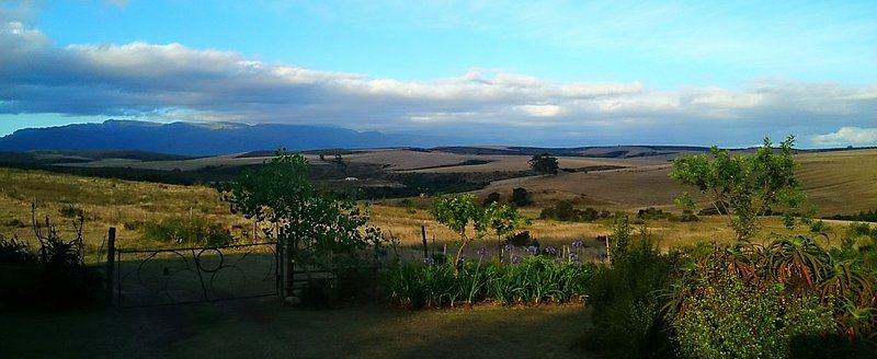 Bare Necessities Suurbraak Western Cape South Africa Complementary Colors, Framing, Nature