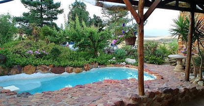 Bare Necessities Suurbraak Western Cape South Africa Garden, Nature, Plant, Swimming Pool