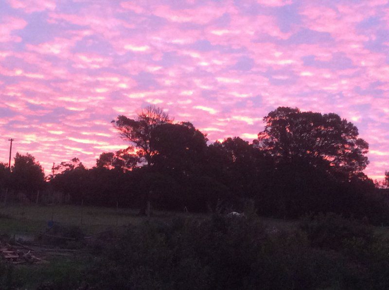 Bare Necessities Suurbraak Western Cape South Africa Sky, Nature, Sunset