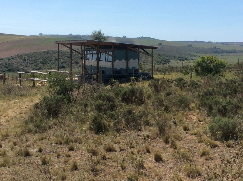 Bare Necessities Suurbraak Western Cape South Africa Vehicle