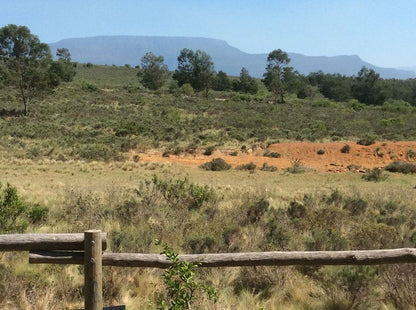 Bare Necessities Suurbraak Western Cape South Africa Complementary Colors, Mountain, Nature