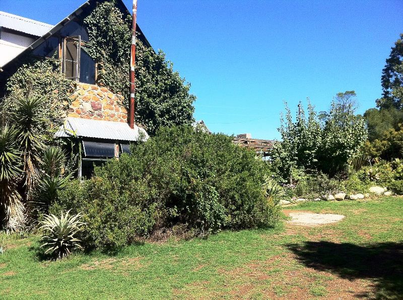 Bare Necessities Suurbraak Western Cape South Africa Complementary Colors, House, Building, Architecture, Garden, Nature, Plant