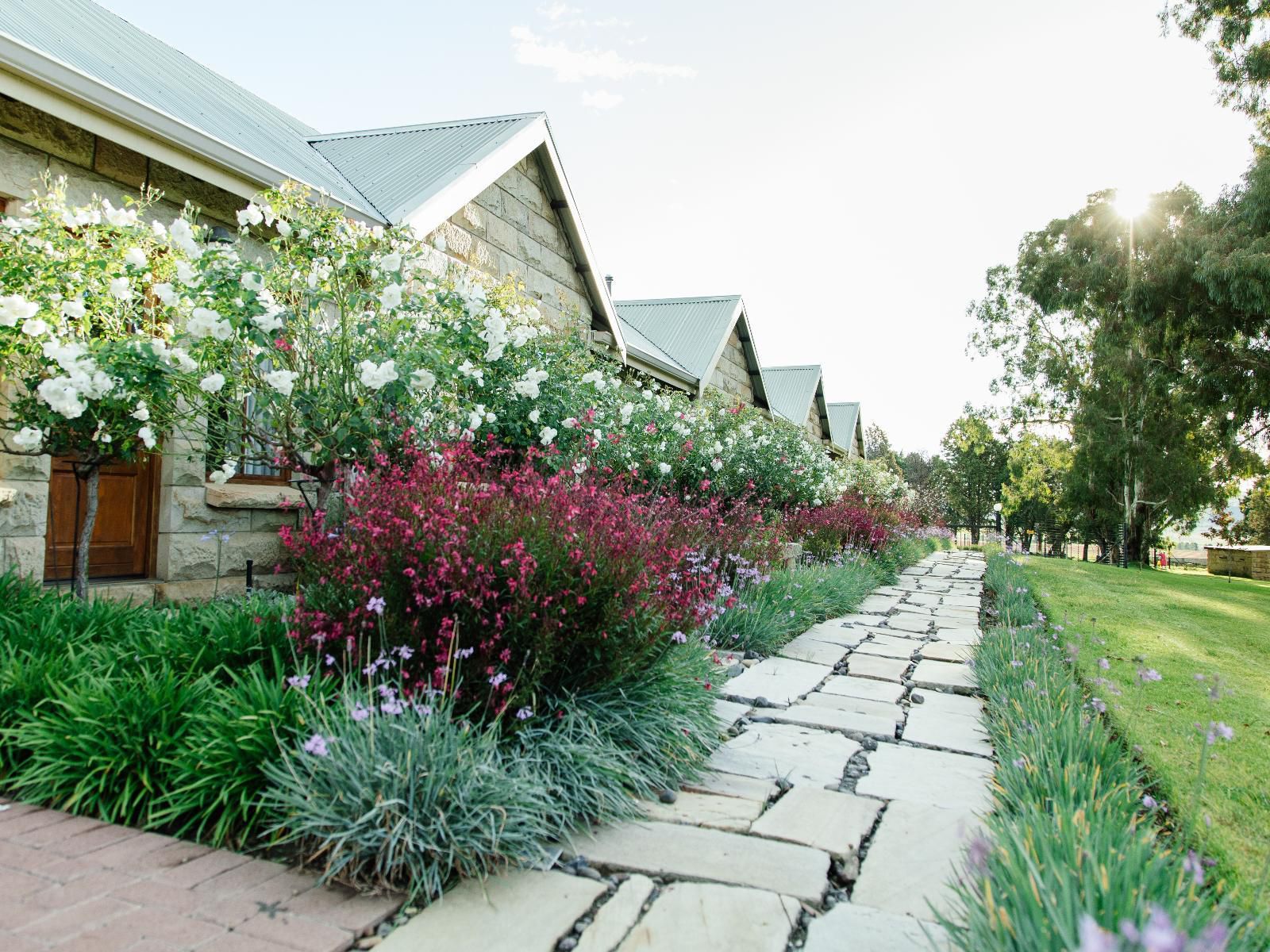 Baris Guesthouse Clarens Free State South Africa Plant, Nature, Garden