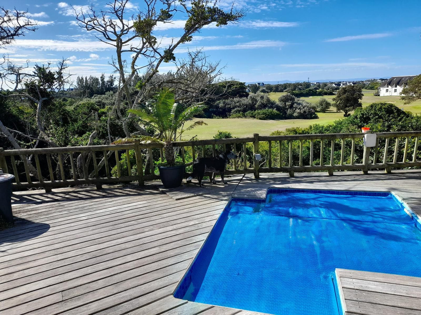 Barnard Self Catering Apartments St Francis Bay Eastern Cape South Africa Beach, Nature, Sand, Garden, Plant, Swimming Pool