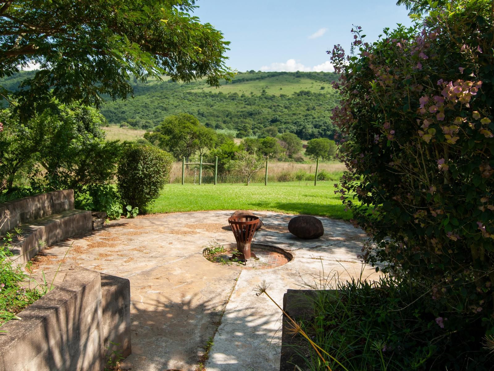 Barnside Guest House, Garden, Nature, Plant