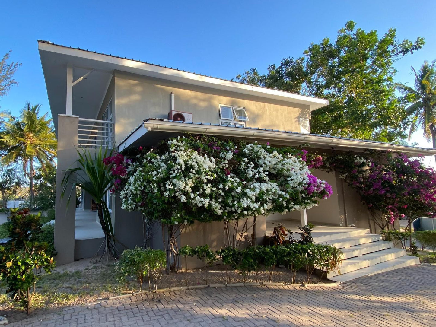 Barra Beach Villa, House, Building, Architecture, Palm Tree, Plant, Nature, Wood