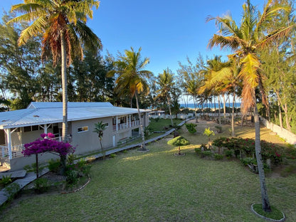 Barra Beach Villa, Beach, Nature, Sand, Island, Palm Tree, Plant, Wood